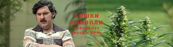 прущая мука Богородицк